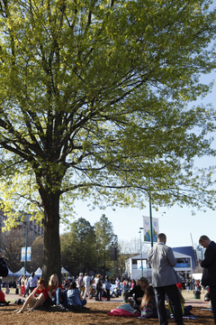 Visitors rest under a tree in Centennial Park, enjoying the blue skies and comfortable 60-degree weather.