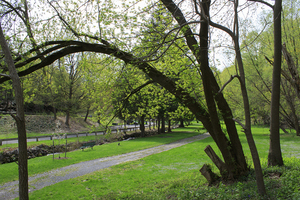 Here are some places outside of Syracuse University to take graduation pictures.