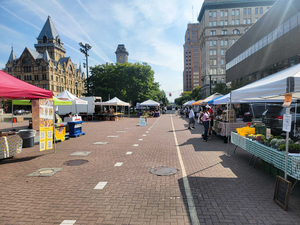 The Syracuse Downtown Farmers Market is one of several businesses in the city of Syracuse that opted into the Double Up Food Bucks NYS program earlier this summer. The program allows people receiving Supplemental Nutrition Assistance Program benefits to earn cash back for purchasing produce.